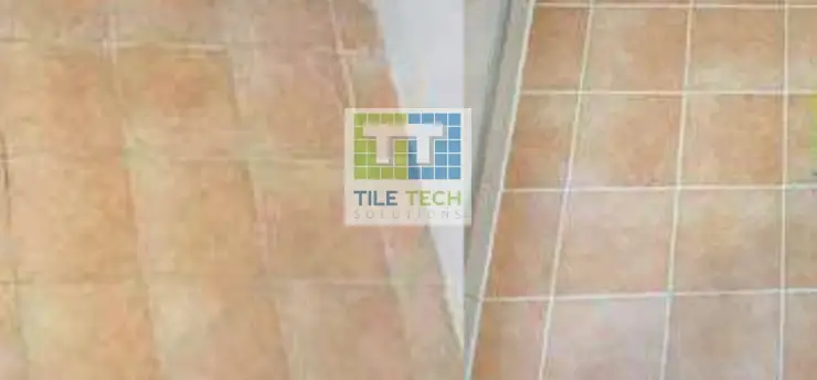 Tile Repair